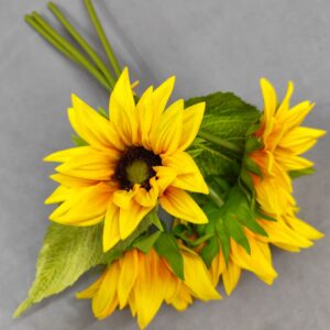 Sun flower