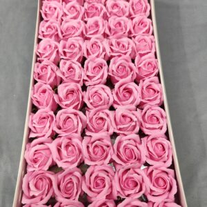 Baby pink  saop flower