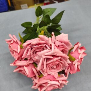 Magenta rose flower