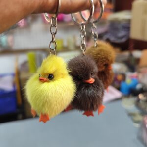 Cute duck