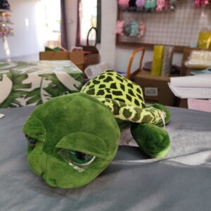 Tortoise
