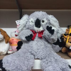 Koala