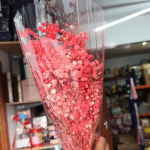 Red gypso