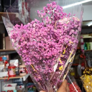Purple gypso