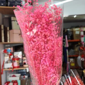 Fuschia gypso