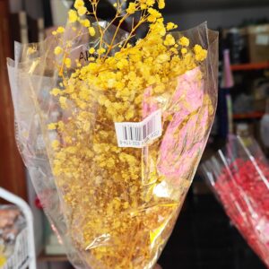 Yellow gypso
