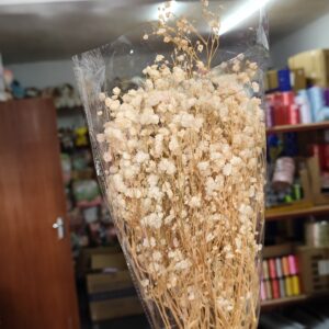 Natural gypso