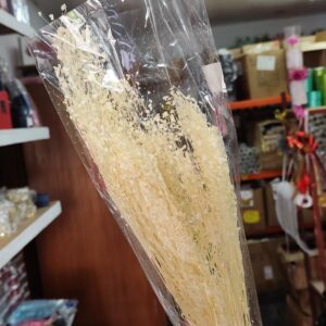 White gypso