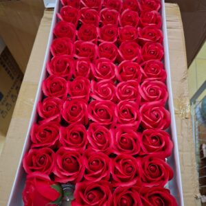red soap flower