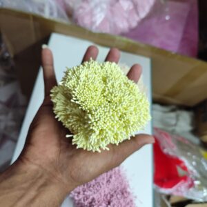 Pollen 4